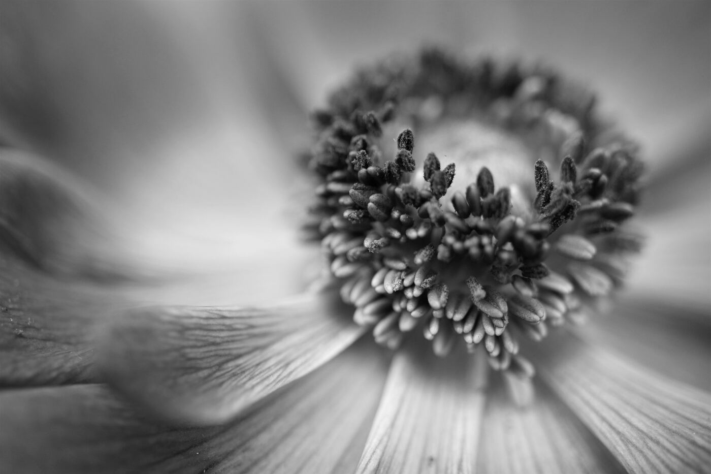 Imagem de capa do post A ciência do bem-estar