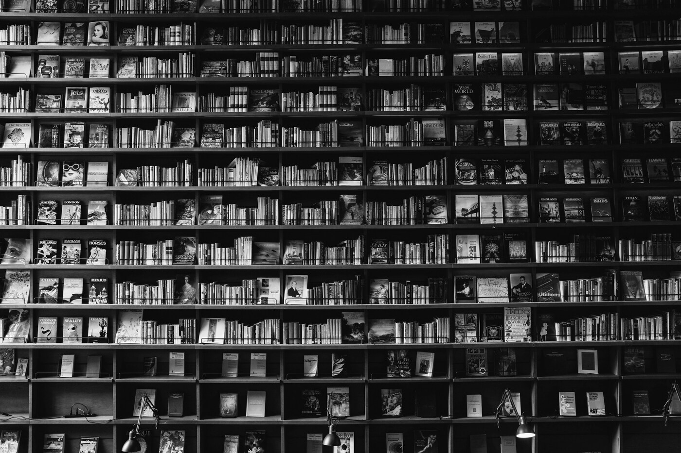 Capa do post Checkpoint da lista de leitura 2026
