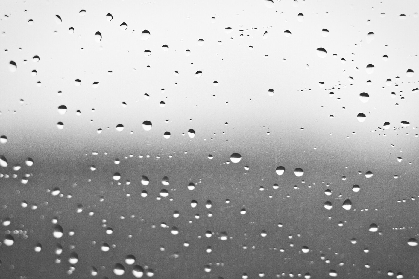 Capa do post Dando visibilidade do trabalho