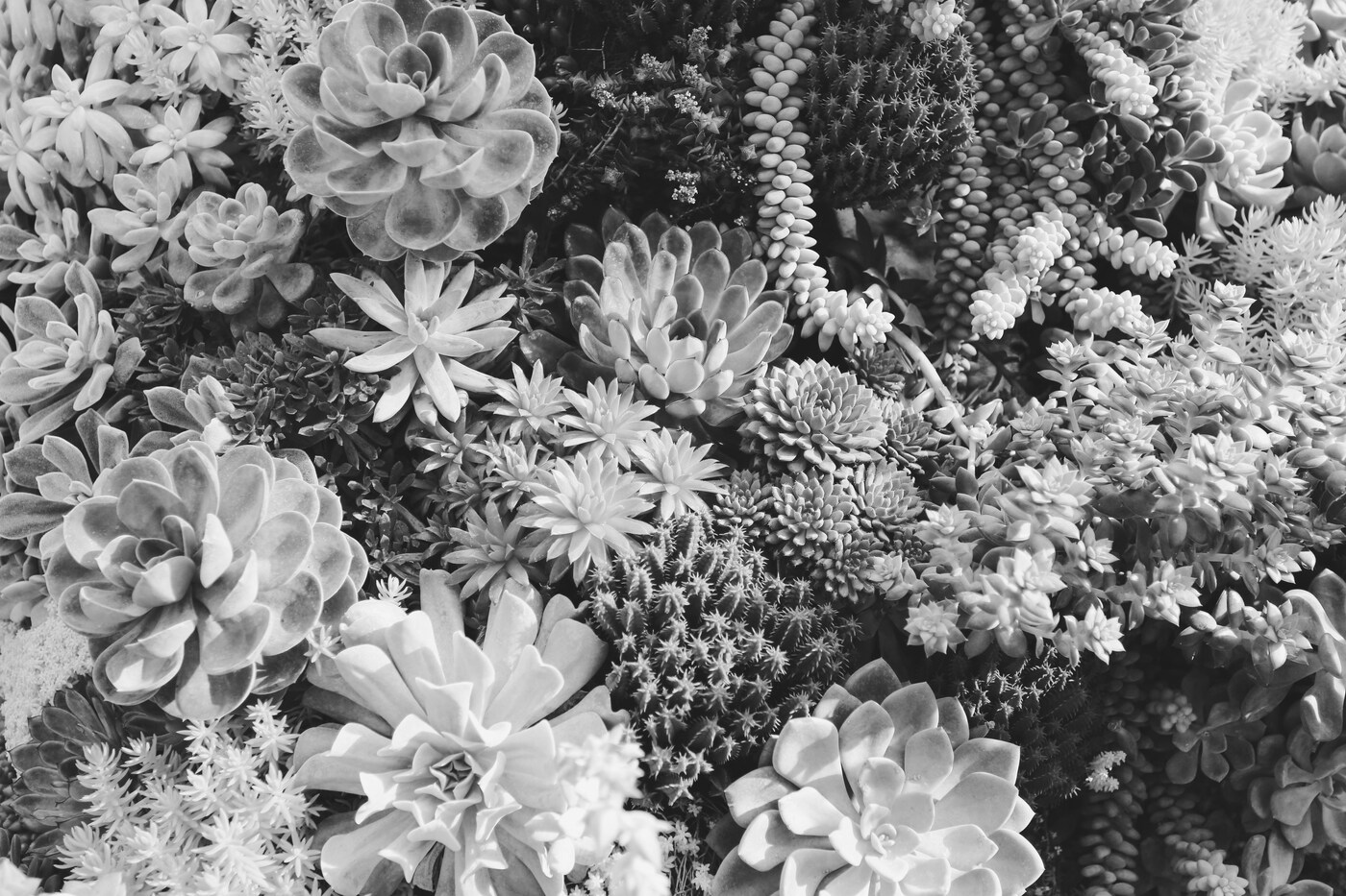 Imagem de capa do post Falta de atenção