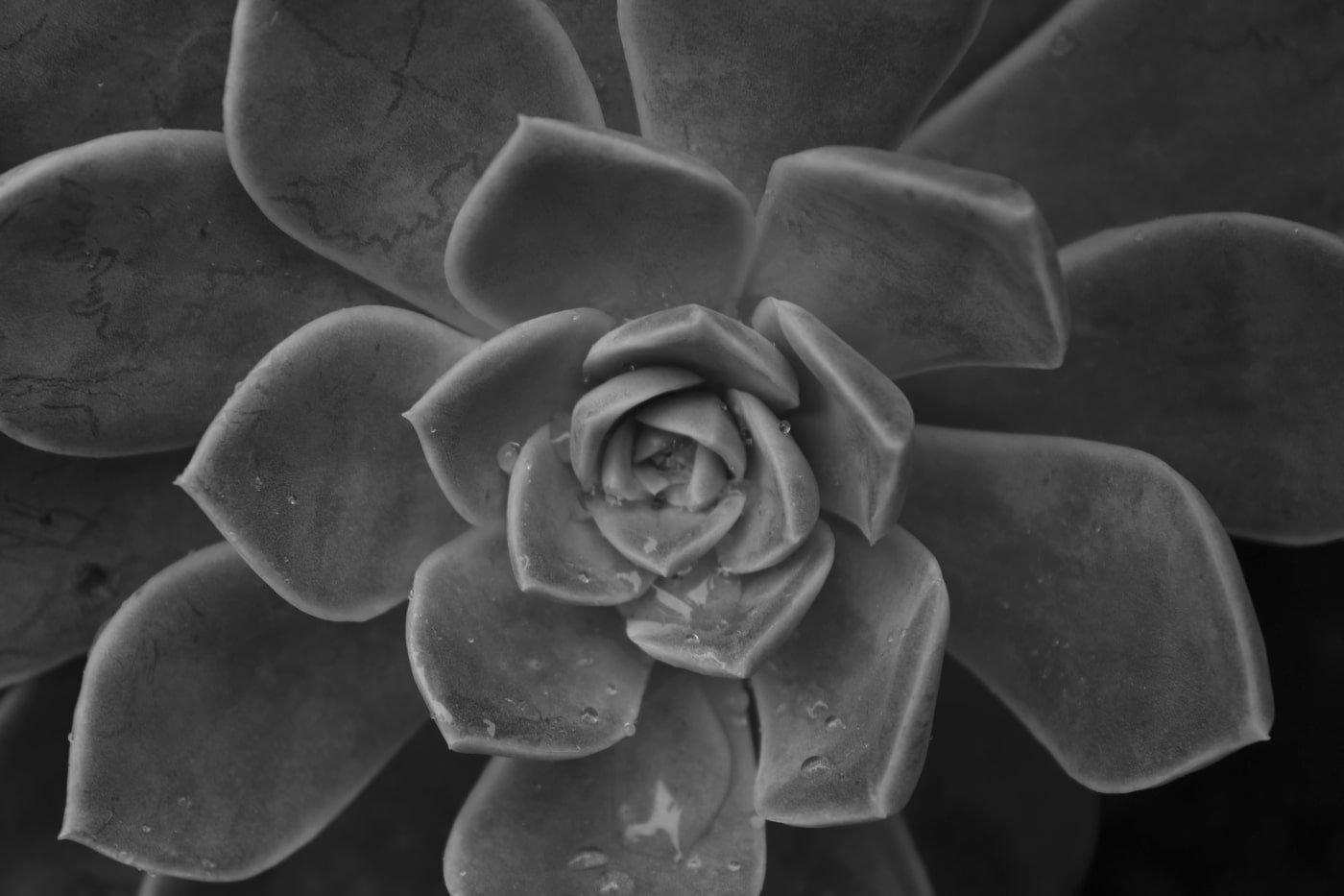 Capa do post Novos Hábitos - Semana 3