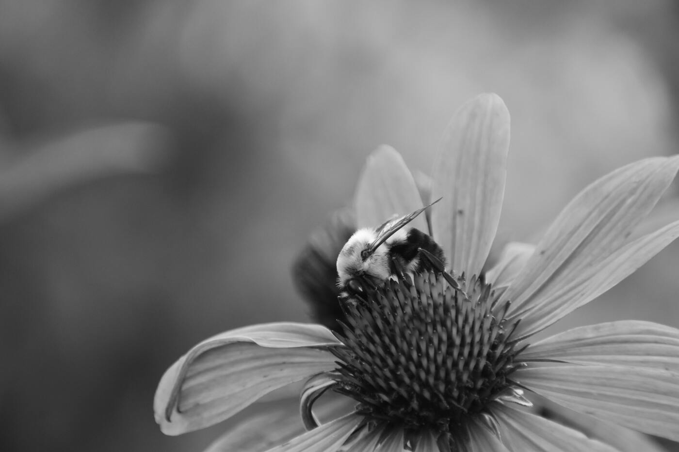 Imagem de capa do post Sobre gestão - Dia a dia