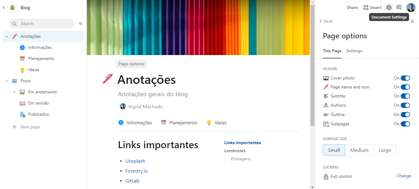 Imagem com a página "Anotações" e o menu "Page options" sendo exibido